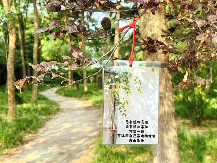 （圖4+校園中懸掛的治愈系圖片）.jpg